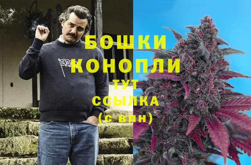 Конопля гибрид  сколько стоит  Остров 